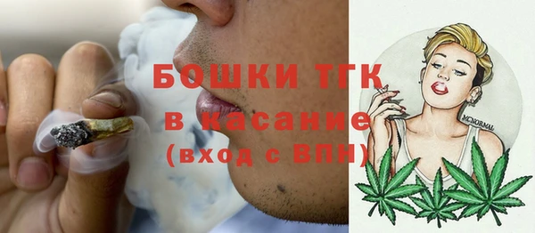 стаф Аркадак