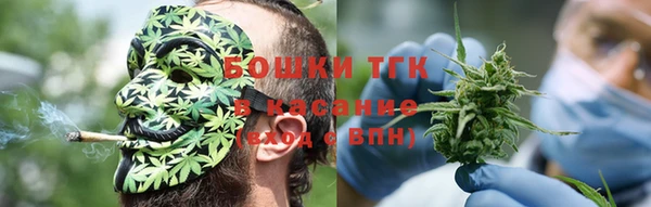 стаф Аркадак