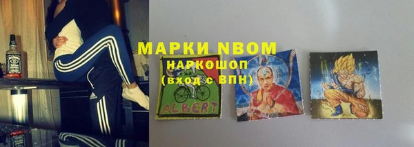 индика Пестово
