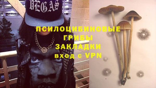 стаф Аркадак