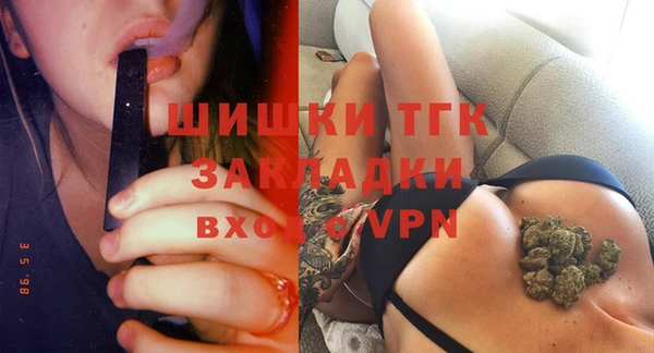 стаф Аркадак