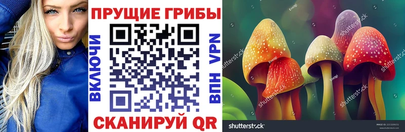 Псилоцибиновые грибы GOLDEN TEACHER  hydra зеркало  Спасск-Дальний 